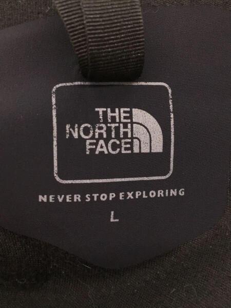 THE NORTH FACE(ザノースフェイス) / V2 MOUNTAIN HOODIE/NP21407/L 