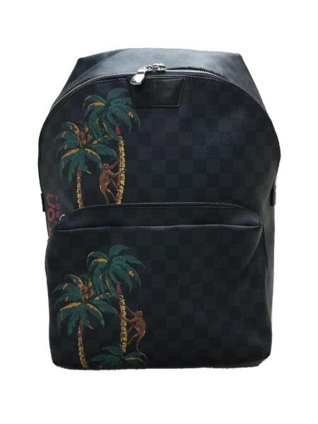 LOUIS VUITTON(ルイヴィトン) / アポロ・バックパック_ダミエ