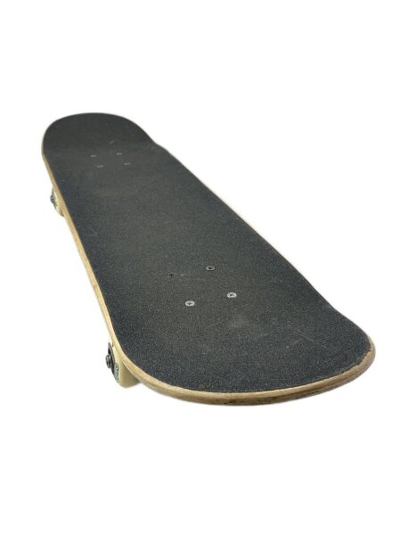 POWELL PERALTA(パウエルペラルタ) / スポーツその他/BLU/スケート