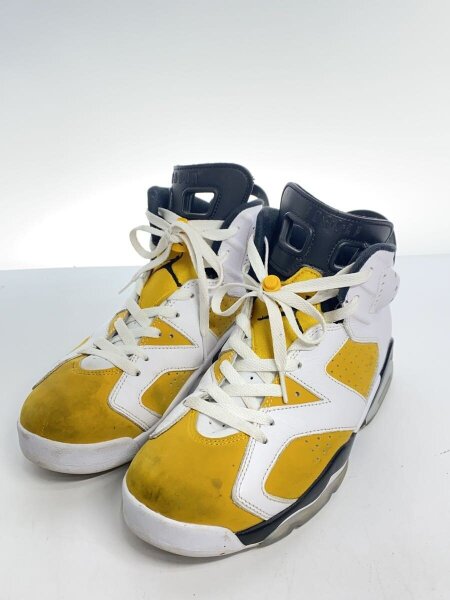 NIKE(ナイキ) / AIR JORDAN 6 RETRO_エアジョーダン 6 レトロ/27cm/WHT 