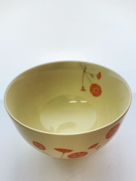 たち吉(タチキチ) / 和食器/10点セット/300-8015/ののか/椀皿揃/貫入