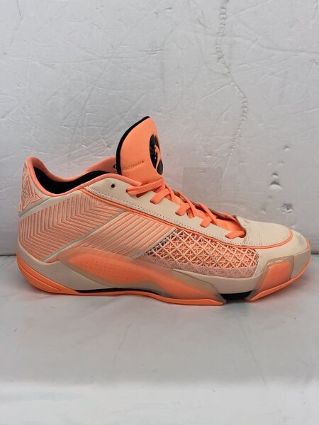 23日まで限定値下げ‼️ AIRJORDAN XXXVIII PF 38 NIKE(ナイキ) / AIR JORDAN XXXVIII LOW PF_エア ジョーダン 38 LOW PF