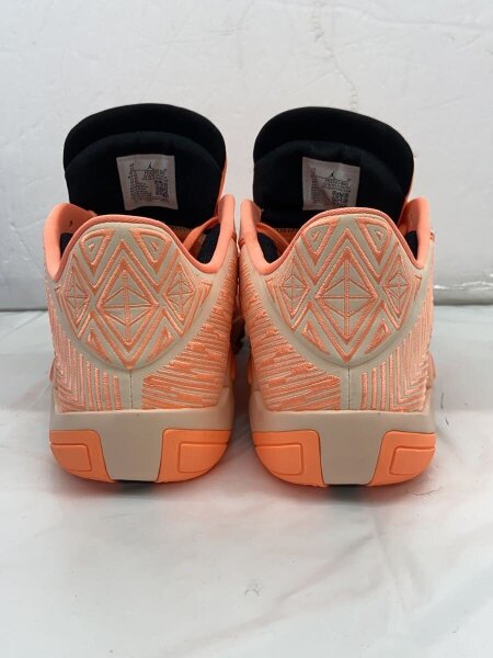 NIKE(ナイキ) / AIR JORDAN XXXVIII LOW PF_エア ジョーダン 38 LOW PF