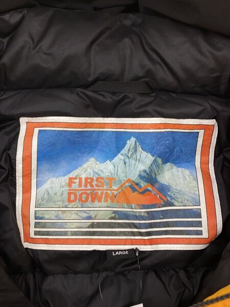FIRST DOWN(ファーストダウン) / ダウンジャケット/L/ナイロン/ORN/193
