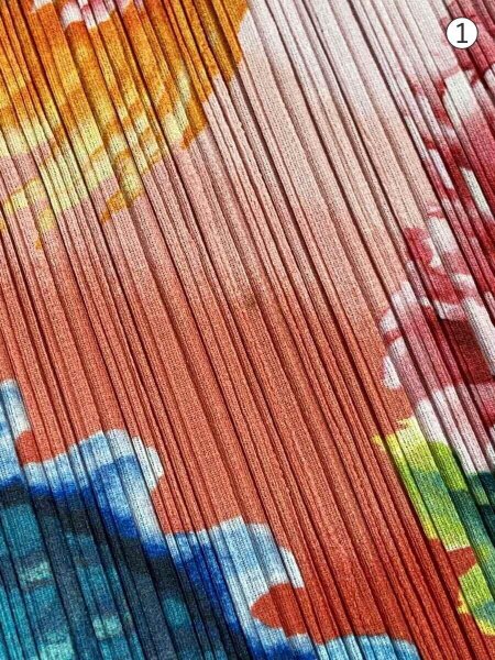 PLEATS PLEASE ISSEY MIYAKE(プリーツプリーズイッセイミヤケ) / 長袖 