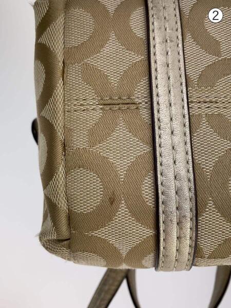 COACH(コーチ) / ジュリアオプアート スモールバック/BEG/44073 | 中古 
