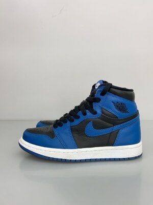 NIKE(ナイキ) / AIR JORDAN 1 ACCLIMATE_エア ジョーダン 1