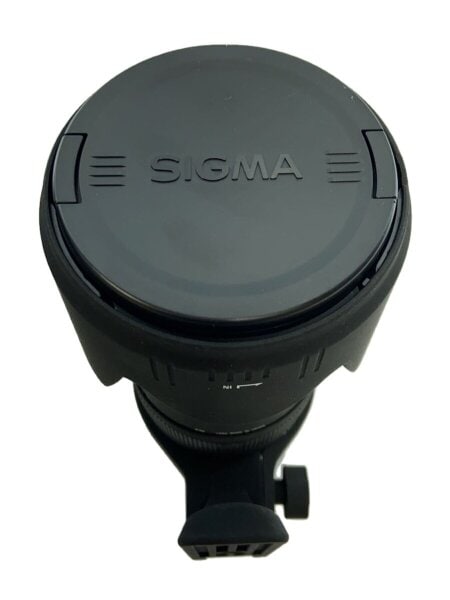 シグマ 50-500mm F4-6.3 EX DG HSM キヤノン用 SIGMA(シグマ) ⁄ レンズ