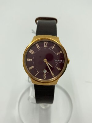 SKAGEN(スカーゲン) / クォーツ腕時計/アナログ/ステンレス/BLK/GLD/SS