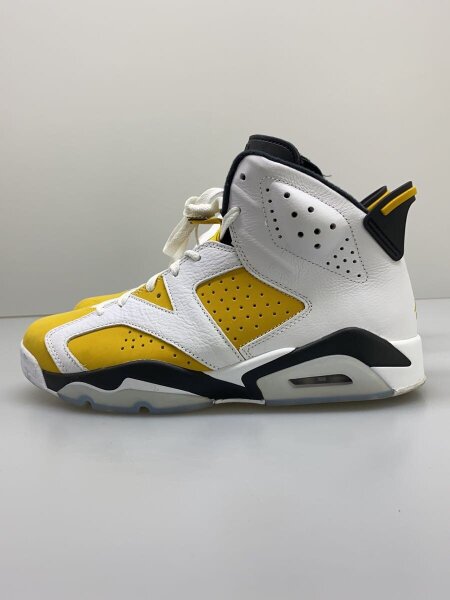 NIKE(ナイキ) / AIR JORDAN 6 RETRO_エアジョーダン 6 レトロ/27.5cm 