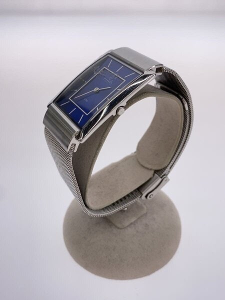 SKAGEN(スカーゲン) / クォーツ腕時計/アナログ/ステンレス/ブルー/SLV 