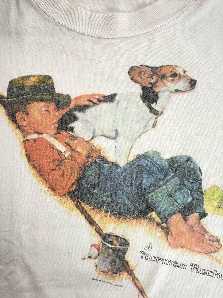 ANVIL(アンヴィル) / USA製/90s/norman rockwell/Tシャツ/L/コットン 