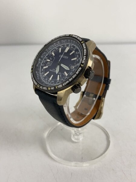 CITIZEN(シチズン) / プロマスター エコドライブ/腕時計/アナログ