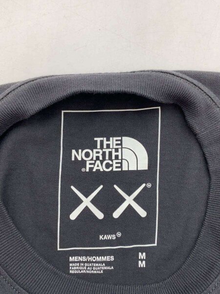 THE NORTH FACE(ザノースフェイス) / 長袖Tシャツ/M/コットン/グレー 