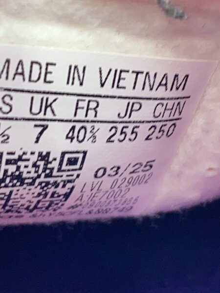 その他 A adidas(アディダス) / GAZELLE INDOOR_ガゼル インドア/25.5cm/PNK