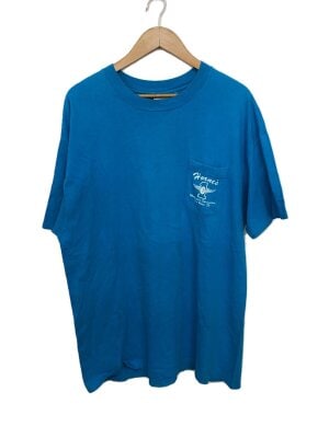 Hanes(ヘインズ) / Tシャツ/XL/コットン/BLU/PEPSI/CASPER/1995 | 古着