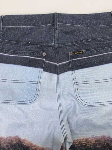 Supreme(シュプリーム) / 25SS/Supreme Damien Hirst Painter Jean 