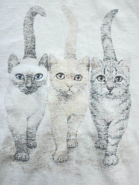 FRUIT OF THE LOOM(フルーツオブザルーム) / 90s~00s/猫/Tシャツ/XL 