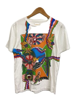 STUSSY(ステューシー) / CARSON DINO TEE/Tシャツ/S/コットン/WHT