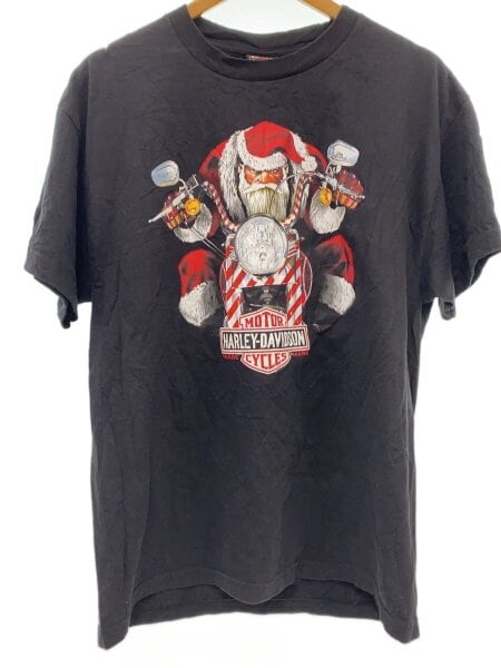 HARLEY DAVIDSON(ハーレーダヴィッドソン) / Tシャツ/L/コットン/BLK 