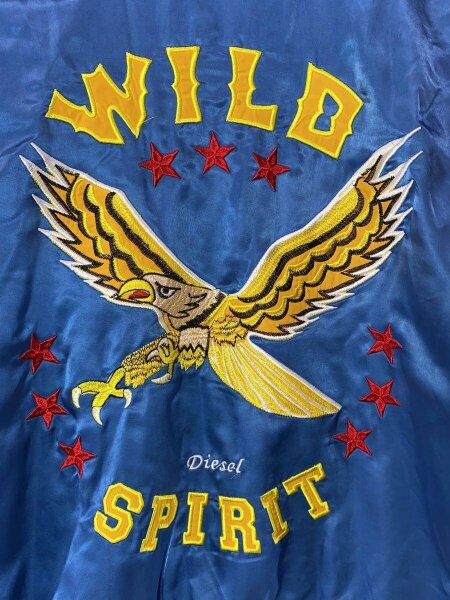 DIESEL([イリョウ/フクショク]ディーゼル) / 鷲/WILD SPIRIT