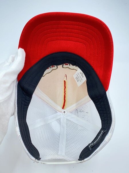 トイガン chai.c トイガン chai.c トイガン chai.c The evolution of