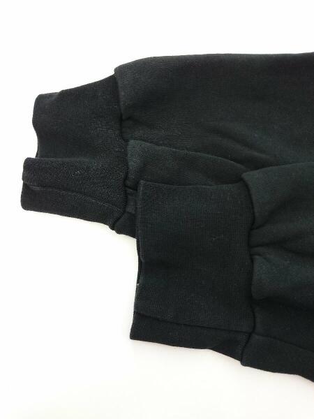 その他ブランド(ソノタブランド) / ALP048/HOODIE ANTON LISIN LOGO 