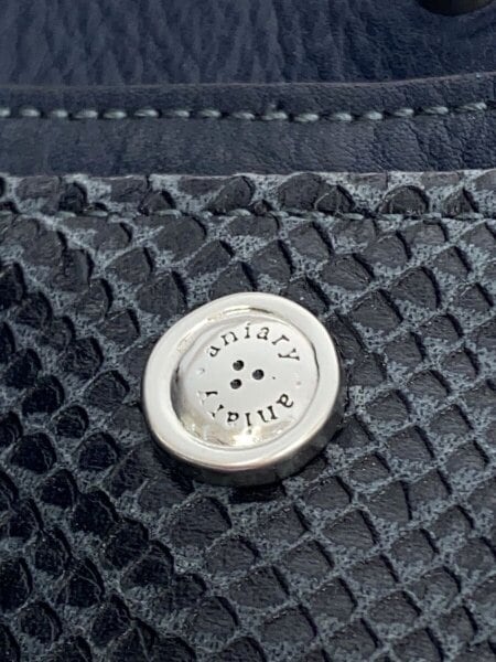 aniary(アニアリ) / 角スレ有/エディターズバッグ/スケイルレザー