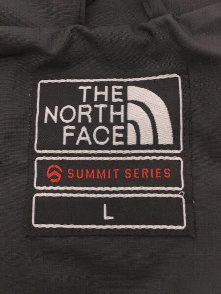 THE NORTH FACE(ザノースフェイス) / SUMMIT SERIES/RAINTEX/L