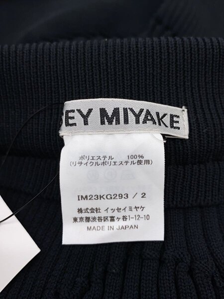 ISSEY MIYAKE(イッセイミヤケ) / KONEKONE LINE SKIRT/スカート/2 