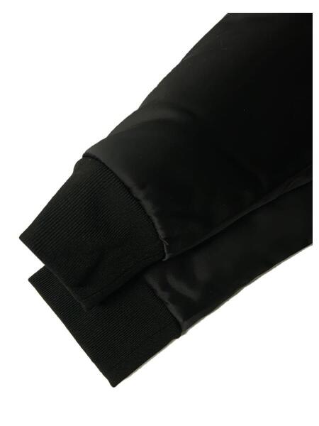 Acne Studios(Acne)(アクネストゥディオズ(アクネ)) / 17SS/MYLON