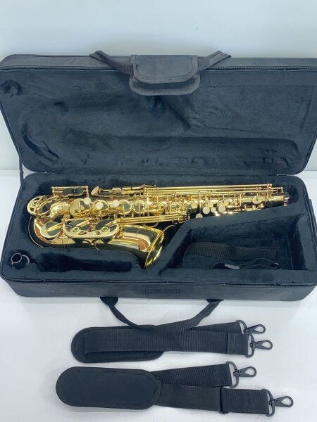 MAVIS メイビス アルトサックス MAS-100 ケース付き アルトサックス