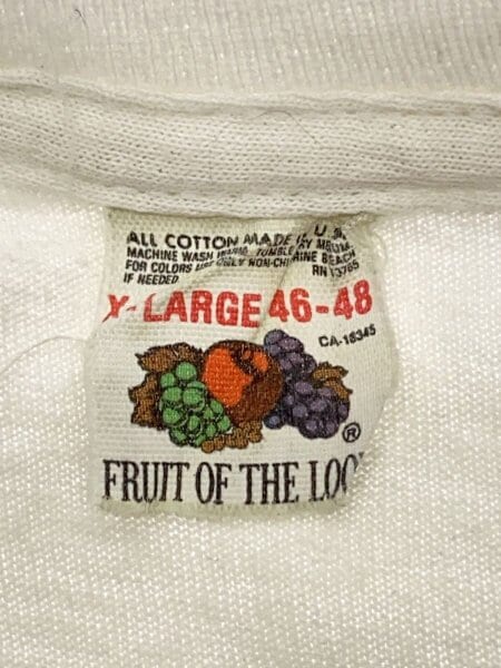 FRUIT OF THE LOOM(フルーツオブザルーム) / Vintage/90s/PINK FLOYD 
