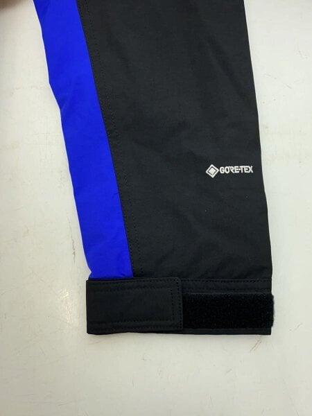 THE NORTH FACE(ザノースフェイス) / マウンテンパーカ/L/ゴアテックス