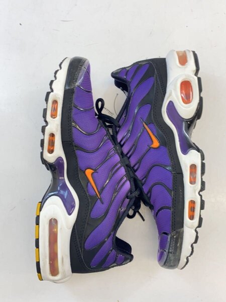 NIKE(ナイキ) / AIR MAX PLUS OG_エアマックス プラス OG/25.5cm/PUP 