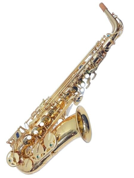 Antigua(アンティグア) / 3100 【動作確認済】3100/ラッカー/アルト