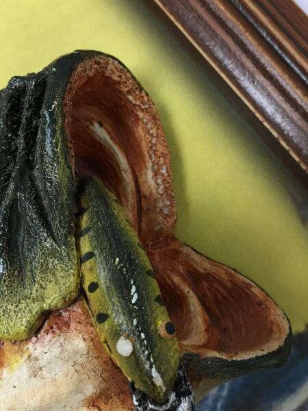 ヘドン　パブサイン Heddon(ヘドン) / スポーツその他/3Dパブサイン | 中古品の販売