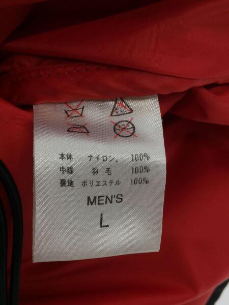 NIKE ACG(ナイキエーシージー) / ダウンベスト/L/ナイロン/ブラック/F6