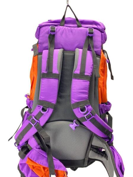 Coleman(コールマン) / コールマン/登山用バックパック/マウント 