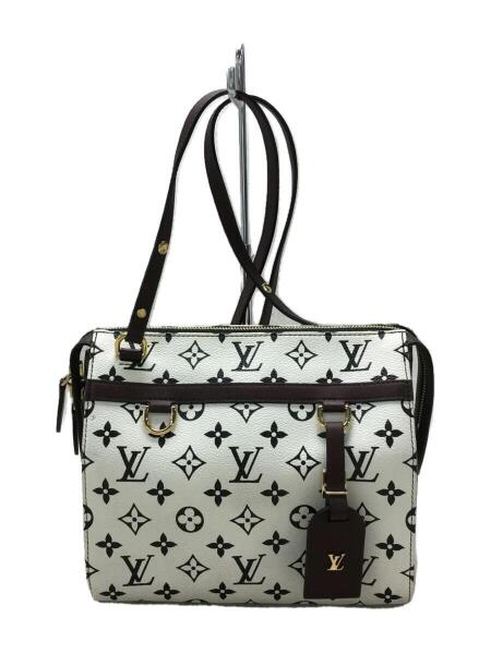 LOUIS VUITTON(ルイヴィトン) / M42210/スピーディ・アマゾンPM 