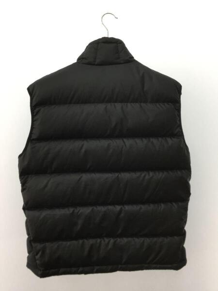 patagonia(パタゴニア) / インサレーショングースダウン/ダウンベスト