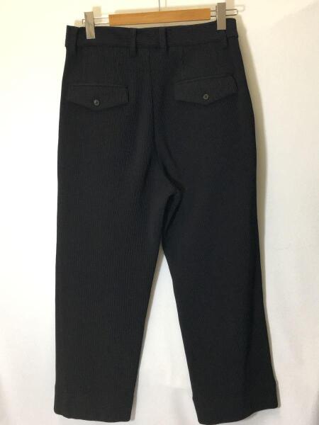 stein(シュタイン) / GRADATION PLEATS TWO TUCK TROUSERS/プリーツ 