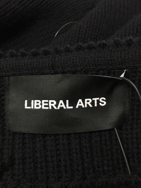 その他ブランド(ソノタブランド) / Liberal Arts/ダメージオーバー 