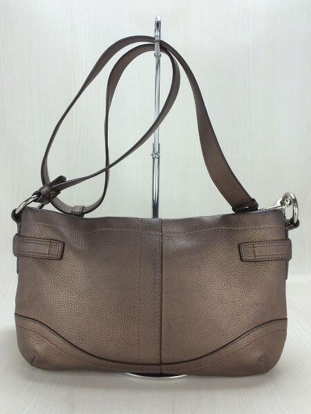 COACH(コーチ) / 斜め掛け/ショルダーバッグ/バッグ/レザー/BRW/F19723