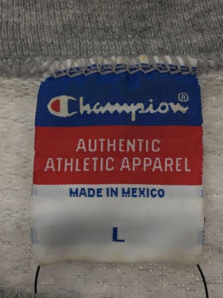 Champion(チャンピオン) / 90s/AAAタグ/メキシコ製/フロント部分、袖 