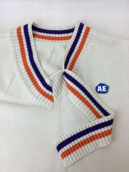 ADER ERROR(アーダーエラー) / 19AW/19AFWKT01IV3/ショートニット 