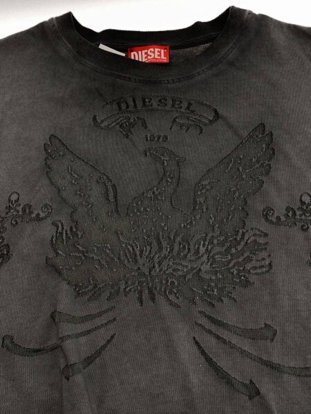 DIESEL([イリョウ/フクショク]ディーゼル) / イーグルプリント/Tシャツ 