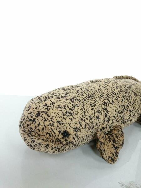 その他ブランド 京都水族館 オオサンショウウオ Ll セカンドストリート 衣類 家具 家電等の買取と販売ならセカンドストリート お問い合わせ番号