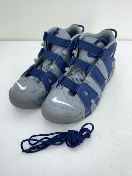 NIKE(ナイキ) / ハイカットスニーカー/28cm/GRY/921948-003// | 中古品