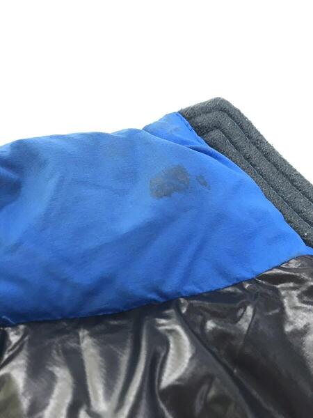 THE NORTH FACE(ザノースフェイス) / ダウンジャケット/L/ナイロン/BLU